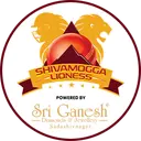 शिवमोग्गा लायंस