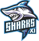 शार्क XI