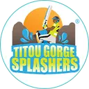 TGS
