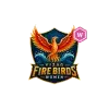 Vizag Fire Birds Women