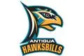 Hawksbills