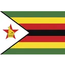 ZIM Emerging