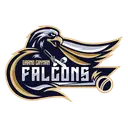 Falcons