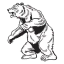 Bears Women