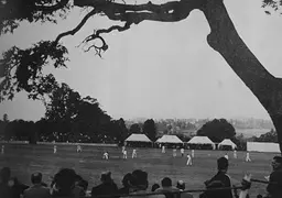 Mote Park