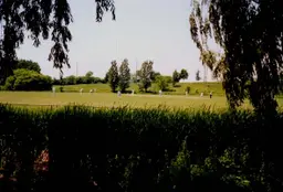एग्लिंटन फ़्लैट्स (वेस्ट ग्राउंड)