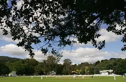 Bradman Oval