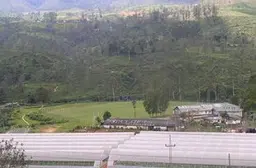 Radella Cricket Grounds