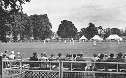 Chalkwell Park