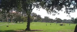 डोमेन
