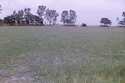 इंद्रा गांधी स्टेडियम