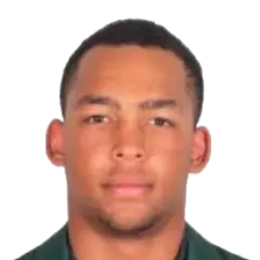 Tony de Zorzi