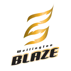 Well Women Logo