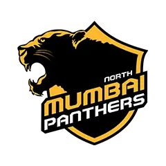 NMP Logo