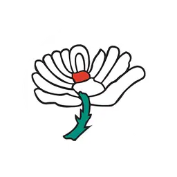 यॉर्कशायर महिला