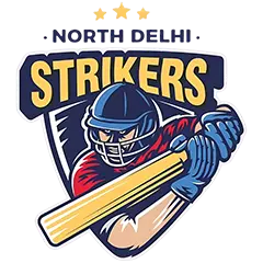 NDS Logo