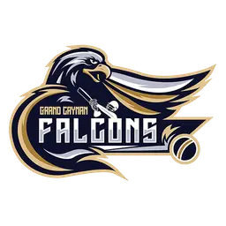 Falcons Logo