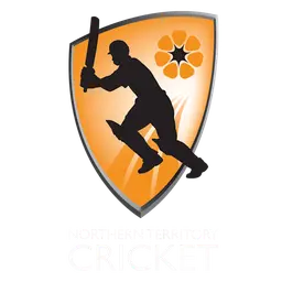 एनटी स्ट्राइक Logo