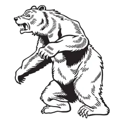 Bears Women Logo