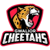 Cheetahs Logo