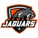 Jaguars Logo