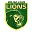 Punjab Lions
