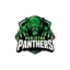 Pakistan Panthers