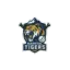 Nainital Tigers