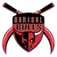 Bulls