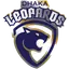Leopards