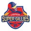 Chepauk Super Gillies