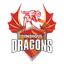 Dindigul Dragons