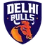 Delhi Bulls