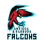 Antigua and Barbuda Falcons