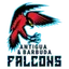 Falcons
