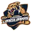 Jaguars