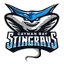 Stingrays