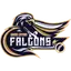 Falcons