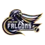 Falcons