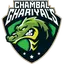 Chambal Ghariyals