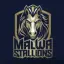 Stallions