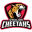 Gwalior Cheetahs