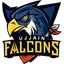 Ujjain Falcons
