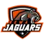 Rewa Jaguars