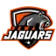 Jaguars