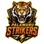 Palamuru Strikers