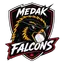 Medak Falcons