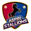 Aspin Stallions