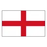 Eng Lions