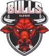 Bulls XI